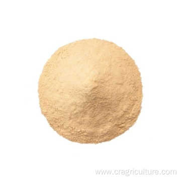 Roasted Garlic Powder High Quality Price